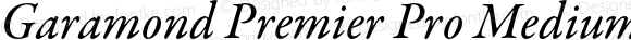 Garamond Premier Pro Medium Italic