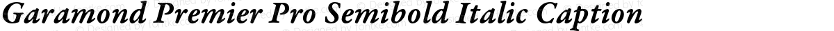 Garamond Premier Pro Semibold Italic Caption