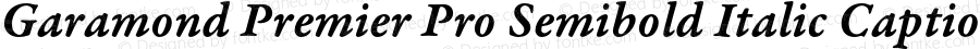 Garamond Premier Pro Semibold Italic Caption