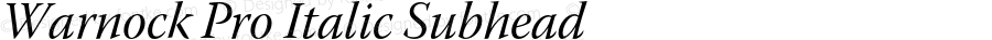 Warnock Pro Italic Subhead