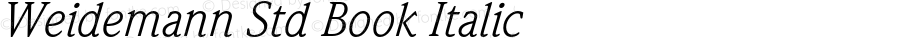 WeidemannStd-BookItalic