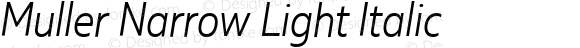 Muller Narrow Light Italic