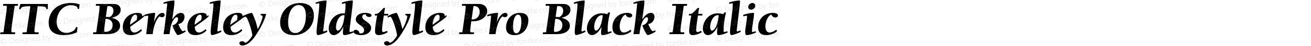 BerkeleyPro-BlackItalic