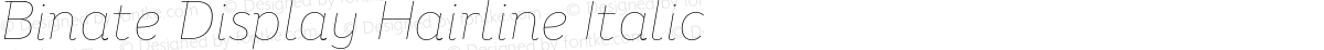 Binate Display Hairline Italic