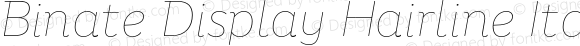 Binate Display Hairline Italic