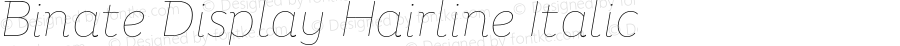 Binate Display Hairline Italic