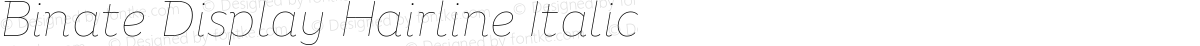 Binate Display Hairline Italic