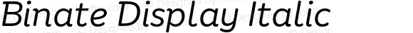 Binate Display Italic