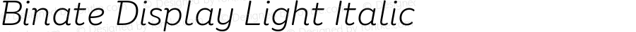 Binate Display Light Italic