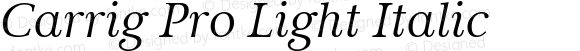 Carrig Pro Light Italic
