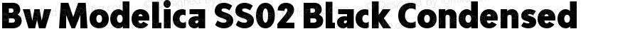 Bw Modelica SS02 Black Condensed