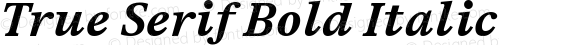 True Serif Bold Italic