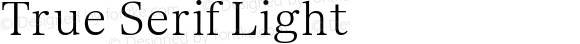 True Serif Light