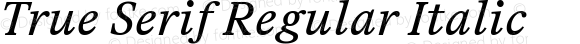 True Serif Regular Italic