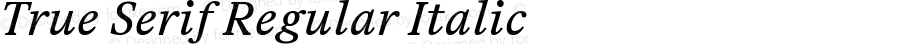 True Serif Regular Italic