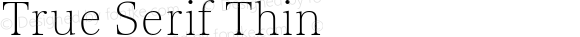 True Serif Thin