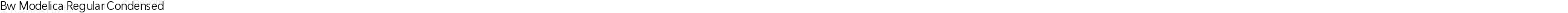 Bw Modelica Regular Condensed