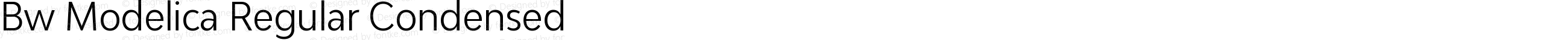 Bw Modelica Regular Condensed