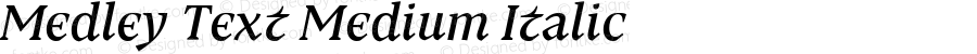 Medley Text Medium Italic