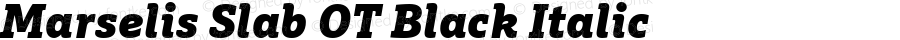 Marselis Slab OT Black Italic