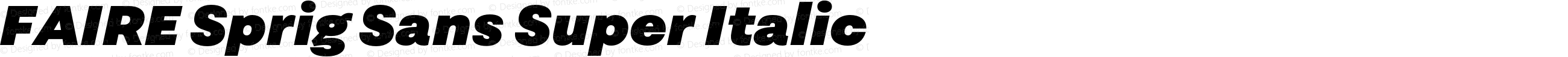 FAIRE Sprig Sans Super Italic