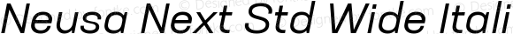 Neusa Next Std Wide Italic