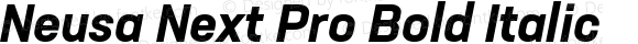 Neusa Next Pro Bold Italic