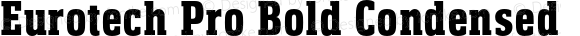 Eurotech Pro Bold Condensed