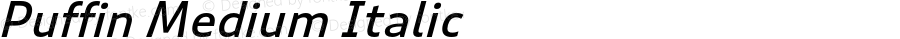 Puffin Medium Italic