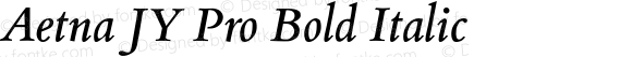 Aetna JY Pro Bold Italic