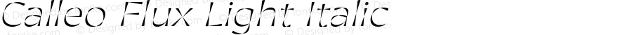 Calleo Flux Light Italic