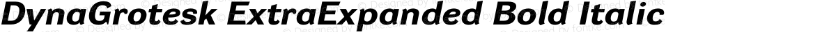 DynaGrotesk ExtraExpanded Bold Italic
