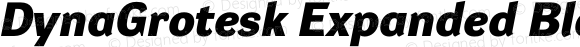 DynaGrotesk Expanded Black Italic