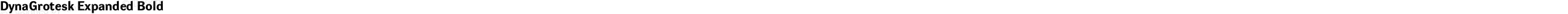 DynaGrotesk Expanded Bold