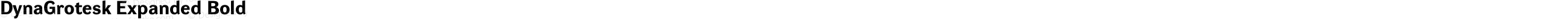 DynaGrotesk Expanded Bold