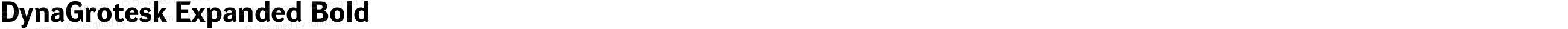 DynaGrotesk Expanded Bold