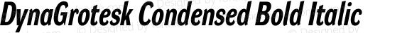 DynaGrotesk Condensed Bold Italic