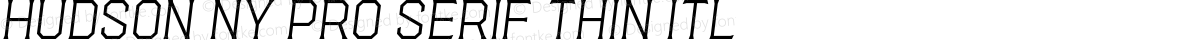 Hudson NY Pro Serif Thin Itl