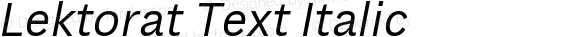 Lektorat Text Italic