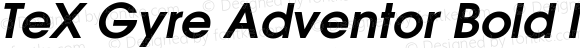 TeX Gyre Adventor Bold Italic