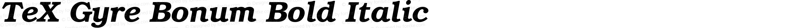 TeX Gyre Bonum Bold Italic