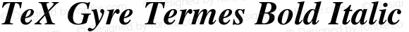 TeX Gyre Termes Bold Italic