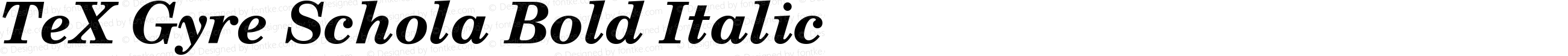 TeX Gyre Schola Bold Italic