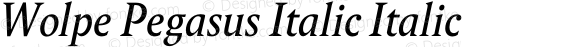 Wolpe Pegasus Italic Italic