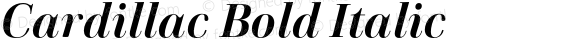 Cardillac Bold Italic