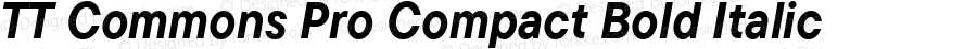 TT Commons Pro Compact Bold Italic