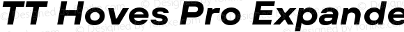 TT Hoves Pro Expanded Bold Italic