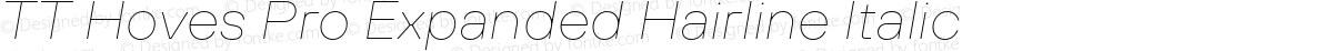 TT Hoves Pro Expanded Hairline Italic