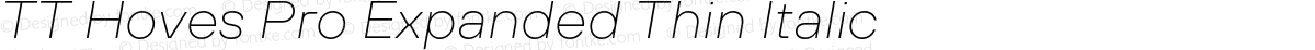 TT Hoves Pro Expanded Thin Italic