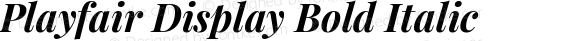 Playfair Display Bold Italic